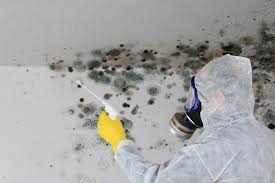 Best Real Estate Mold Inspection in Plumas Lake, CA